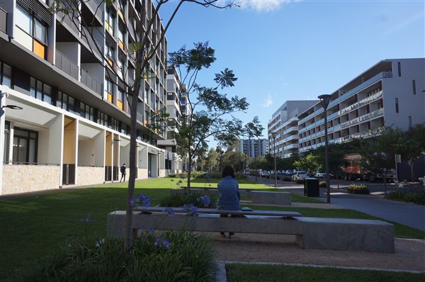 Zetland - Victoria Park (15/11/2017 - Credits: Mary Barltrop)