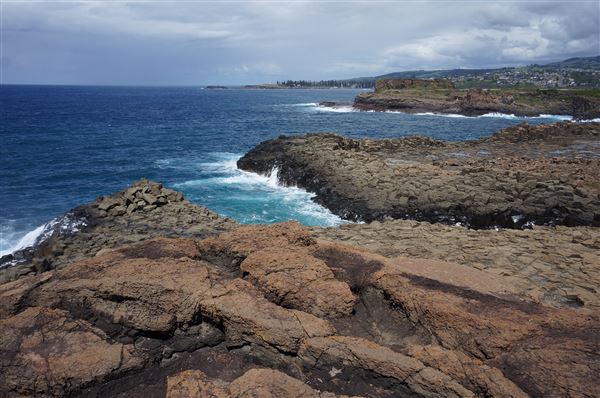 Bombo Headland Quarry (2/02/2018 - Credits: Mary Barltrop)