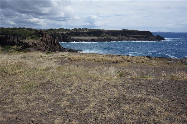 Bombo Headland Quarry (2/02/2018 - Credits: Mary Barltrop)