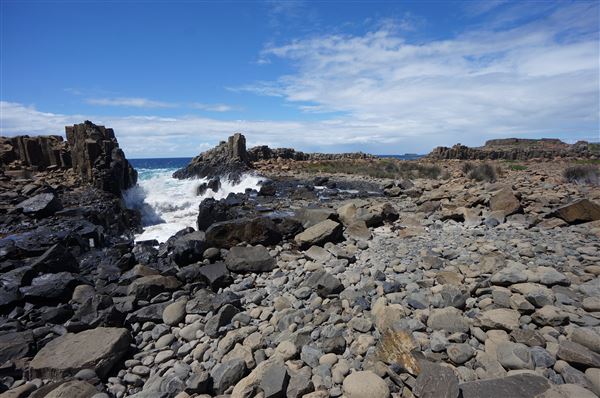 Bombo Headland Quarry (2/02/2018 - Credits: Mary Barltrop)