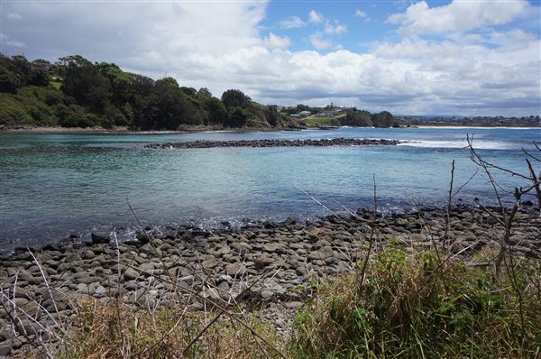 Cameron Boyd Reserve (2/02/2018 - Credits: Mary Barltrop)