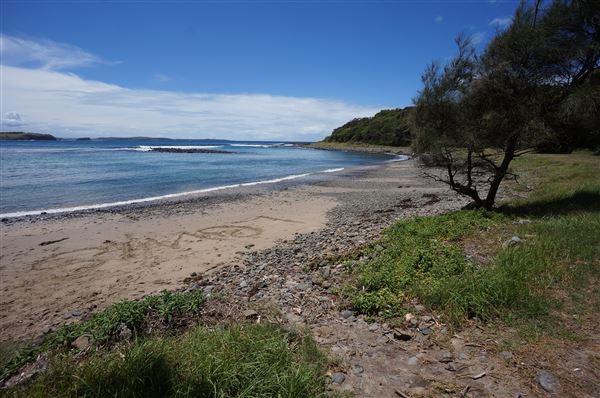 Cameron Boyd Reserve (2/02/2018 - Credits: Mary Barltrop)
