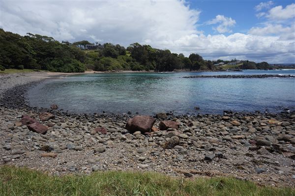 Cameron Boyd Reserve (2/02/2018 - Credits: Mary Barltrop)