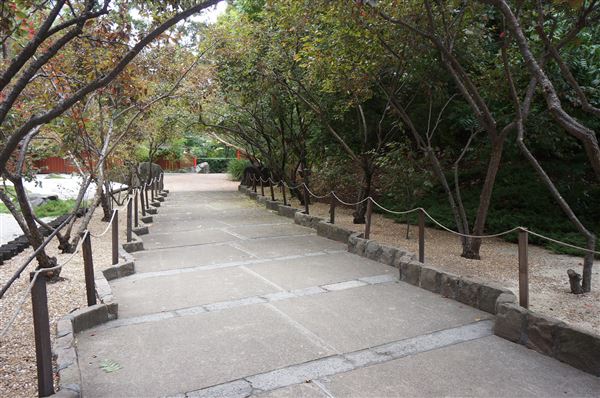 Auburn Botanic Gardens - Japanese Garden (4/02/2018 - Credits: Mary Barltrop)