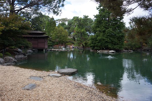 Auburn Botanic Gardens - Japanese Garden (4/02/2018 - Credits: Mary Barltrop)