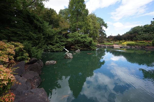 Auburn Botanic Gardens - Japanese Garden (4/02/2018 - Credits: Mary Barltrop)