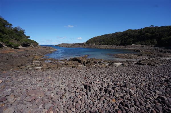 Bass Point Reserve (2/02/2018 - Credits: Mary Barltrop)