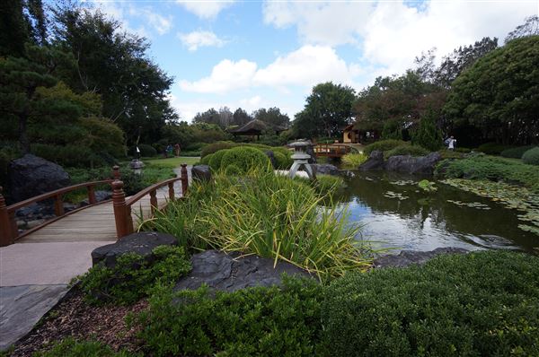 Edogawa Japanese Garden (4/02/2018 - Credits: Mary Barltrop)