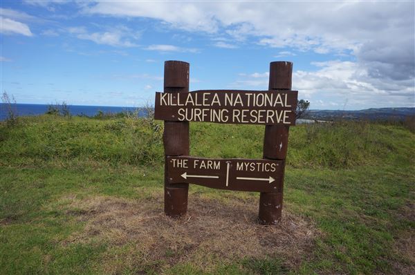 Killalea Regional Park (2/02/2018 - Credits: Mary Barltrop)