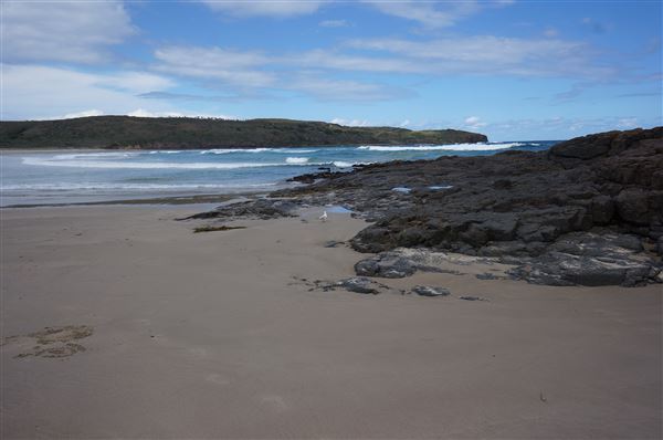 Killalea Regional Park (2/02/2018 - Credits: Mary Barltrop)