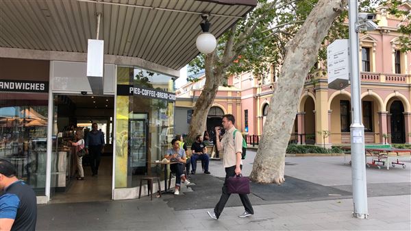 Parramatta (10/04/2018 - Credits: Shannon Wheeler)