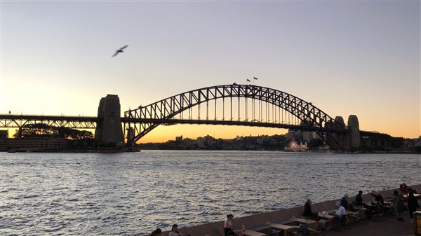 Sydney at Night (22/07/2018 - Credits: Shannon Wheeler)