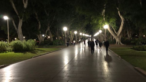 Sydney at Night (22/07/2018 - Credits: Shannon Wheeler)