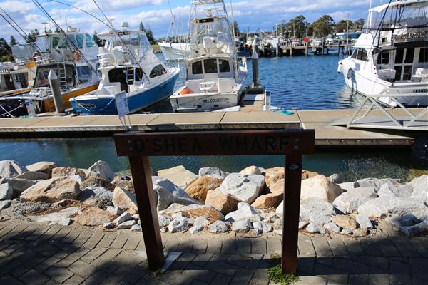 Bermagui (4/08/2018 - Credits: Lisa Scope)