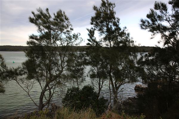 Tuross Head (5/08/2018 - Credits: Lisa Scope)