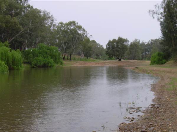 Whylandra Crossing, Dubbo (22/08/2018 10:29:40 PM)