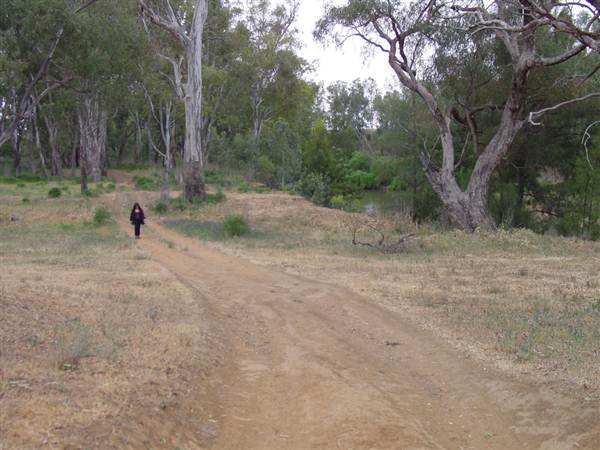Whylandra Crossing, Dubbo (22/08/2018 10:29:41 PM)