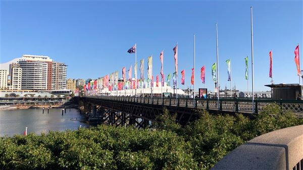 Darling Harbour (15/08/2018 - Credits: Shannon Wheeler)
