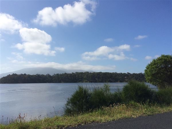 Wallaga Lake Bridge (20/11/2015 - Credits: Shannon Wheeler)