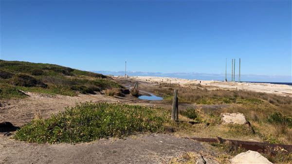 Kamay Botany Bay National Park (23/05/2018 - Credits: Shannon Wheeler)