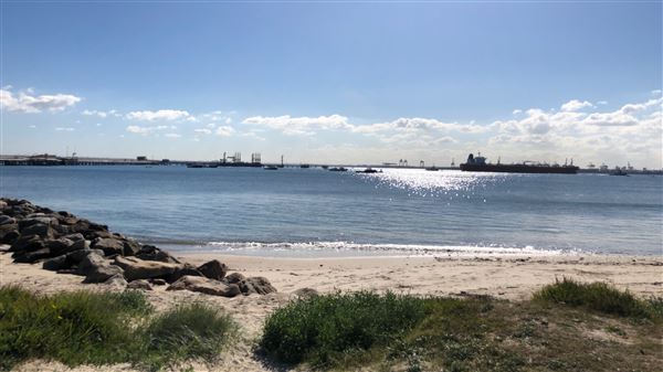 Kurnell Neighbourhood (23/05/2018 - Credits: Shannon Wheeler)