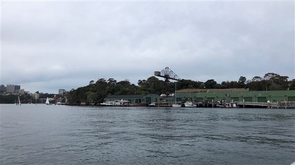 Goat Island (31/08/2018 - Credits: Shannon Wheeler)