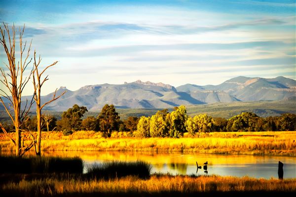 Narrabri Shire (21/09/2017 - Credits: Jamie Condon - Narrabri NSW 2390)