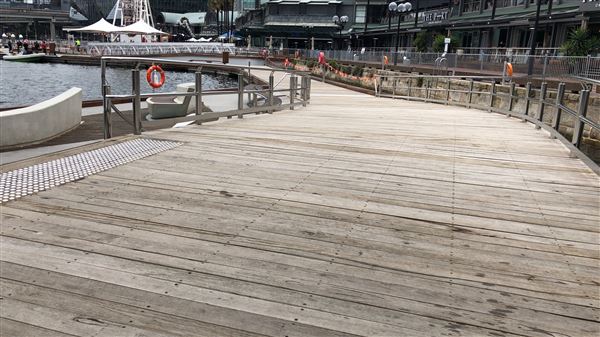 Darling Harbour (26/10/2018 - Credits: Shannon Wheeler)