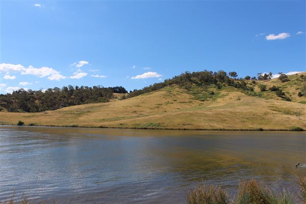 Lake Lyell (16/01/2018)