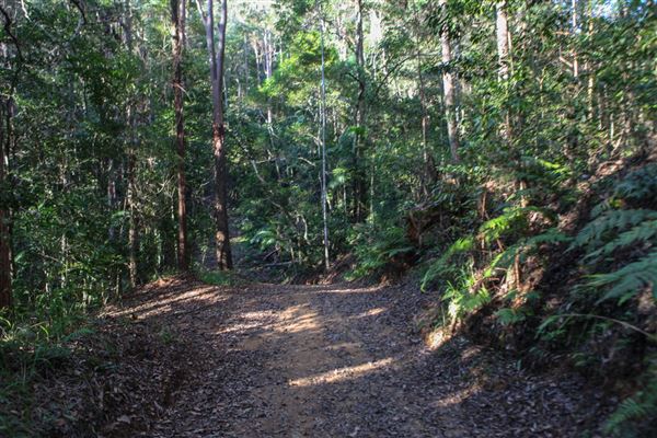 Clarrie Hall Dam (1/11/2018)