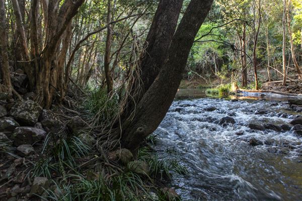 Clarrie Hall Dam (1/11/2018)