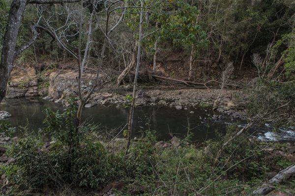 Clarrie Hall Dam (1/11/2018)