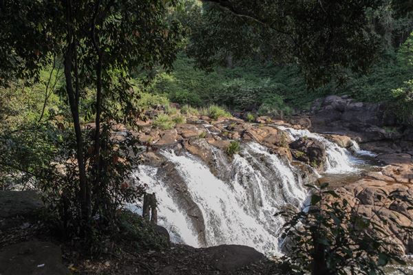 Whian Whian Falls (1/11/2018)