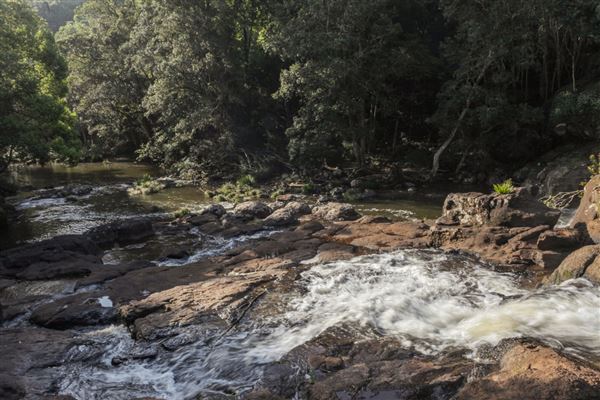Whian Whian Falls (1/11/2018)