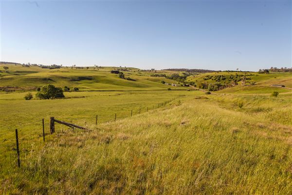 Taralga countryside (31/10/2018)