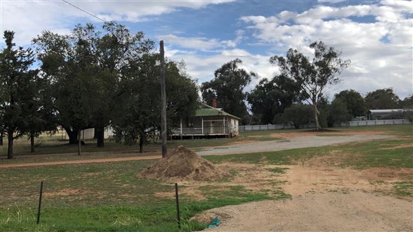 Calala (17/09/2018 - Credits: Shannon Wheeler)