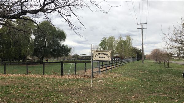 East Tamworth (17/09/2018 - Credits: Shannon Wheeler)