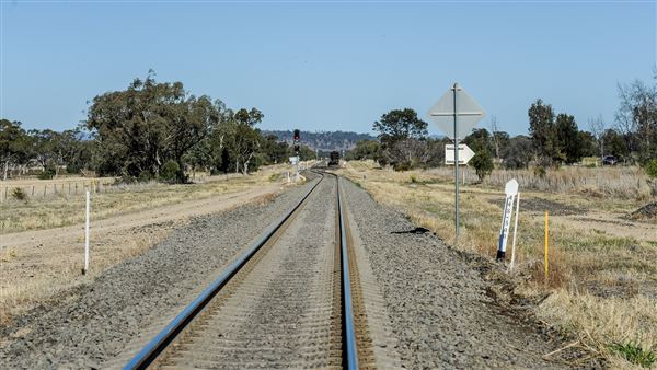 Curlewis (21/09/2018 - Credits: Colin McDougall)
