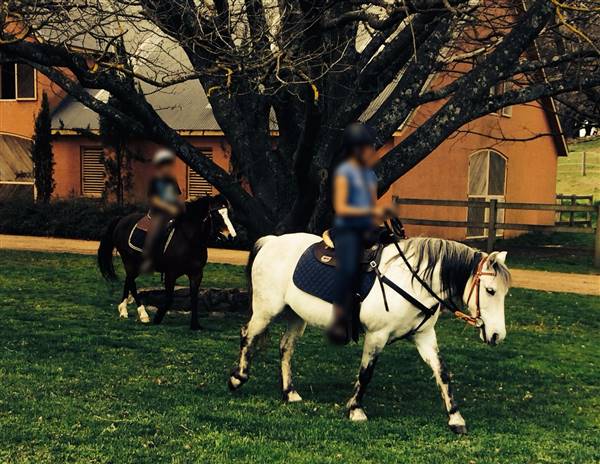 Mona Farm & Historic Home (20/12/2016)