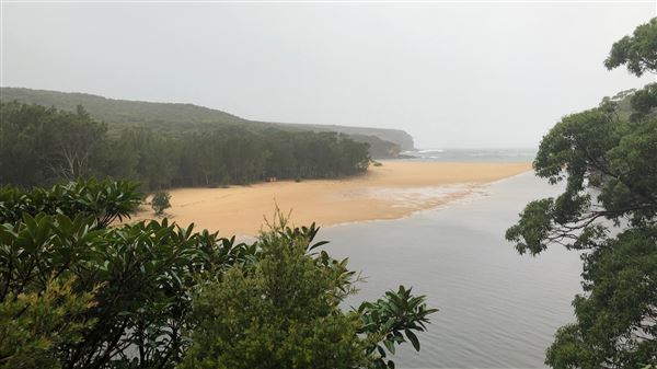 Wattamolla Beach (17/03/2019 - Credits: Shannon Wheeler)