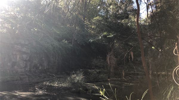 Trumper Park (24/08/2019 - Credits: Shannon Wheeler)
