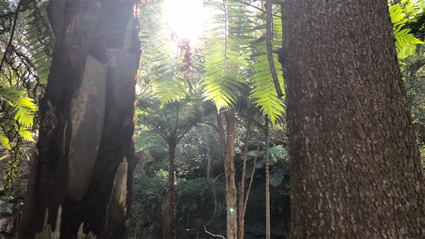 Trumper Park (24/08/2019 - Credits: Shannon Wheeler)