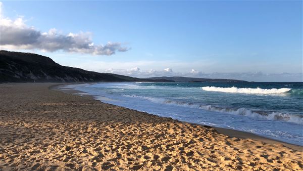 Tura Beach (26/09/2019 - Credits: Shannon Wheeler)