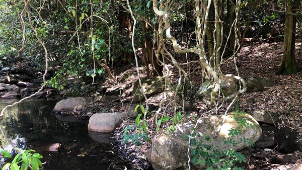 Otford Farm - Paintball Property (19/11/2019 - Credits: Screen NSW)