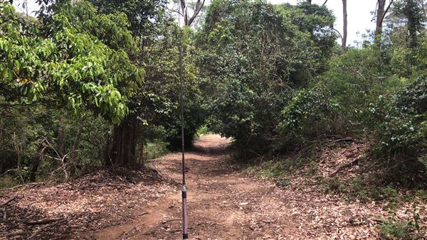 Otford Farm - The Pines Paddock with Jungle Gully (19/11/2019 - Credits: Screen NSW)