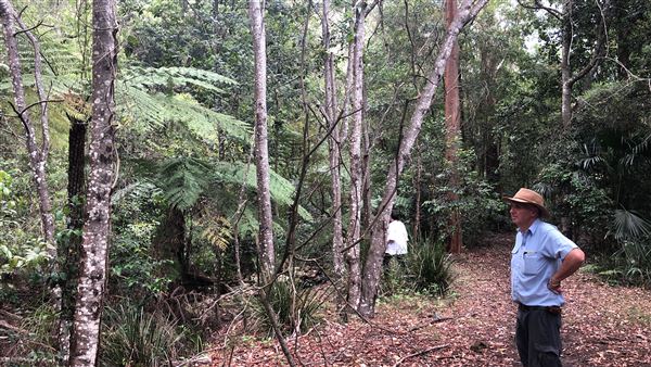Otford Farm - The Pines Paddock with Jungle Gully (19/11/2019 - Credits: Screen NSW)