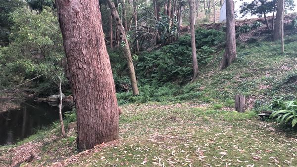 Otford Farm - Horse Farm (19/11/2019 - Credits: Screen NSW)