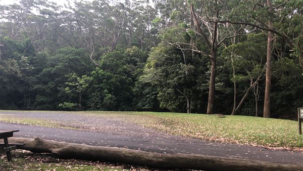 Otford Farm - Horse Farm (19/11/2019 - Credits: Screen NSW)