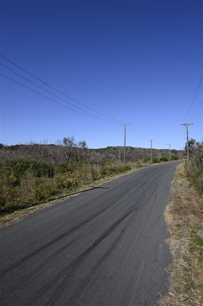 Sir Joseph Banks Drive (17/10/2019)