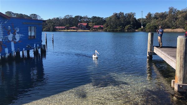 Sussex Inlet (9/07/2020 - Credits: Shannon Wheeler)